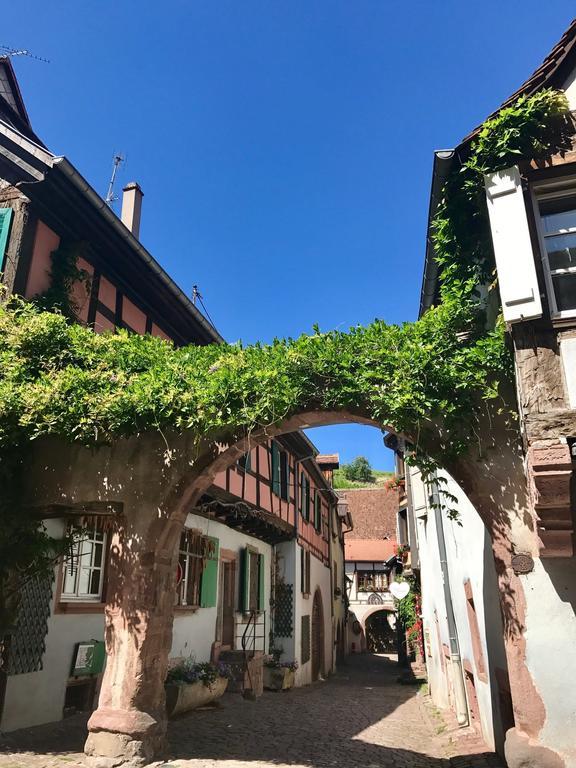 Les Authentics - La Maison d'Amélie Riquewihr Exterior foto